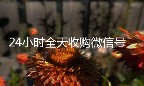 24小时全天收个人回收vx秒结购微信号(私人回收联系方式)